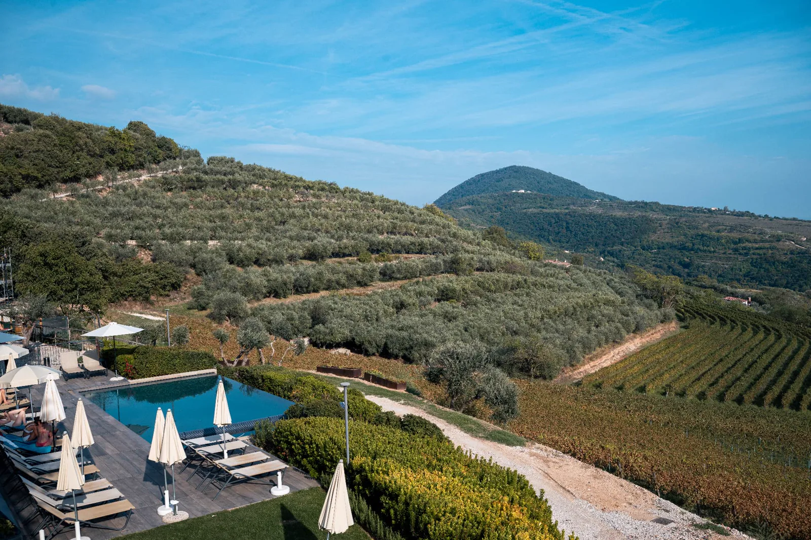 View from Le Volpi Wine Relais across pool, vineyards and the Colli Euganei