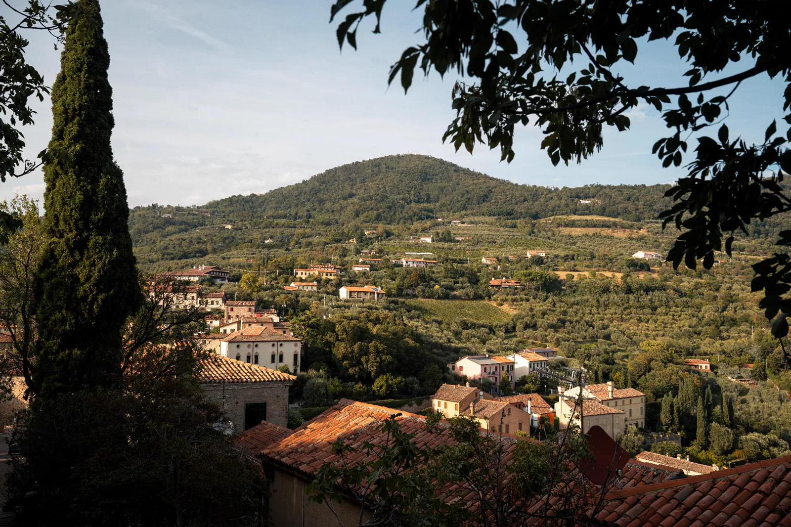 View from Arquà Petrarca across rooftops and olive groves into the Euganean Hills