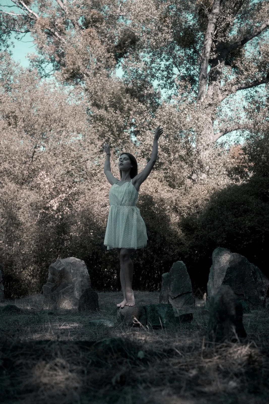 The stone circle on the Donauinsel in Vienna – Little Stonehenge among the trees with Tiana in frame